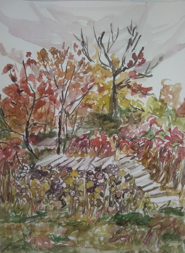 Watercolor painting of a wood pile with big rocks and autumn foliage and trees