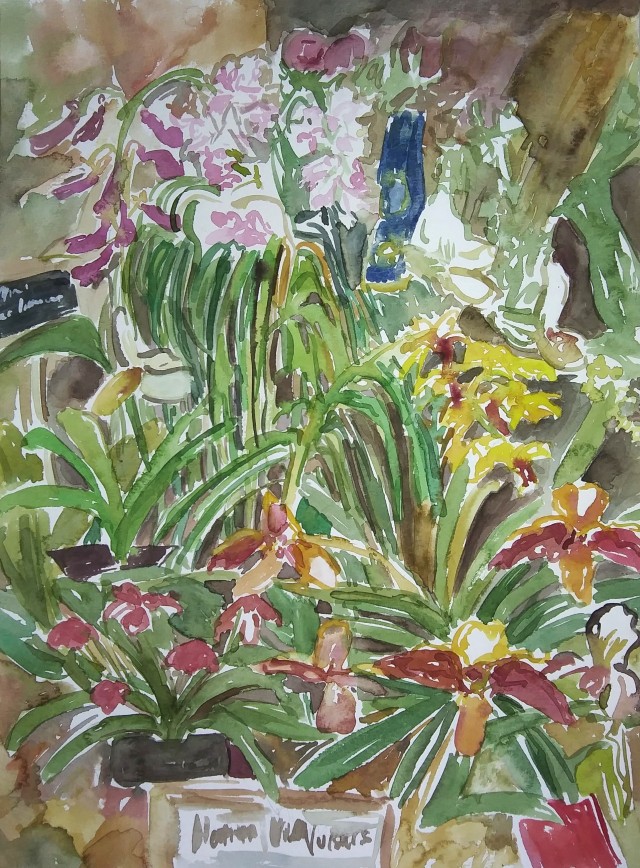 A watercolor painting of various kinds of orchids jumbled together, inspired by a visit to an orchid show, done in pinks, greens, reds and yellows